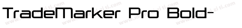 TradeMarker Pro Bold字体转换